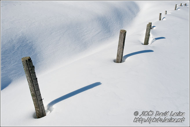 Poles In Snow - Best Of 2010, Norway