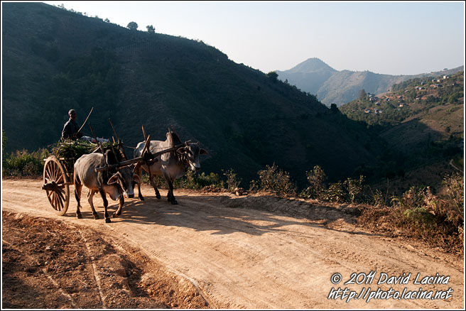 Ox Cart - Best Of, Myanmar (Burma)
