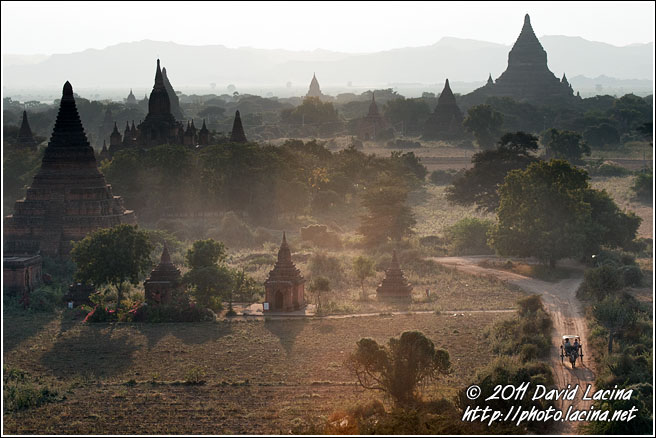 Ox Cart And Bagan Temples - Bagan, Myanmar (Burma)