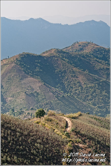 Path Through Hills - Kalaw Trekking, Myanmar (Burma)