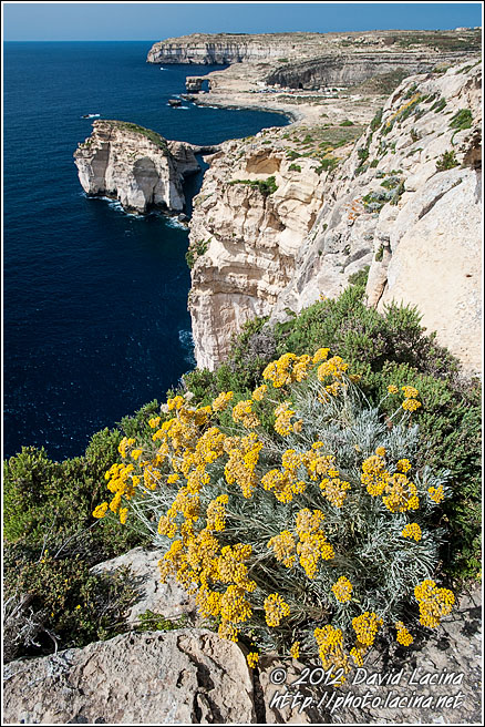 Gozo Cliffs - Gozo, Malta