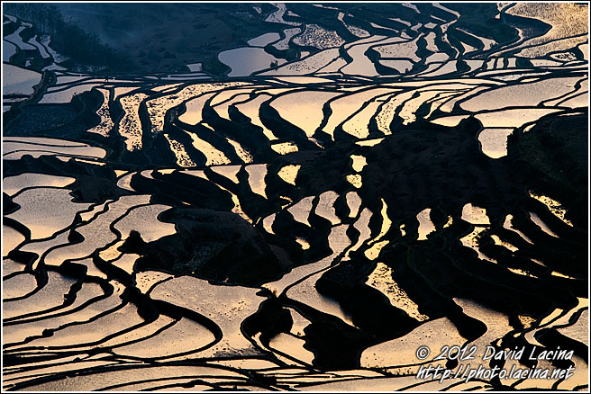 Sunrise Over Rice Terraces - Yuanyang, China