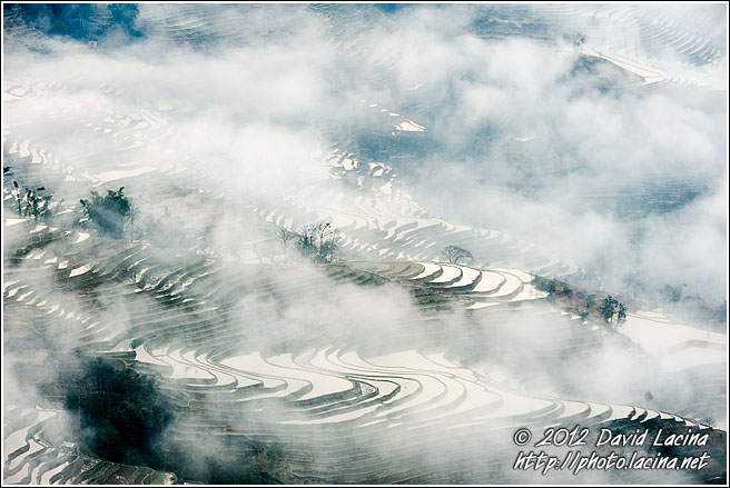 Bada Rice Terraces - Yuanyang, China