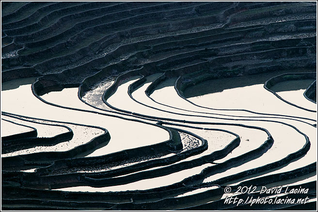 Bada Rice Terraces - Yuanyang, China