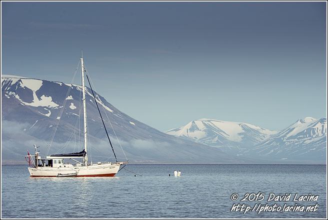 Mooring Sailboat In Adventfjorden - Svalbard, Norway