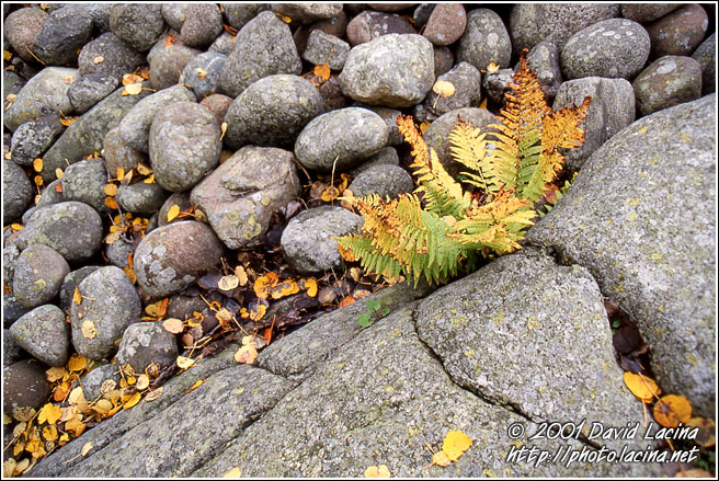 Fall Is Comming - Best of 2001, Norway