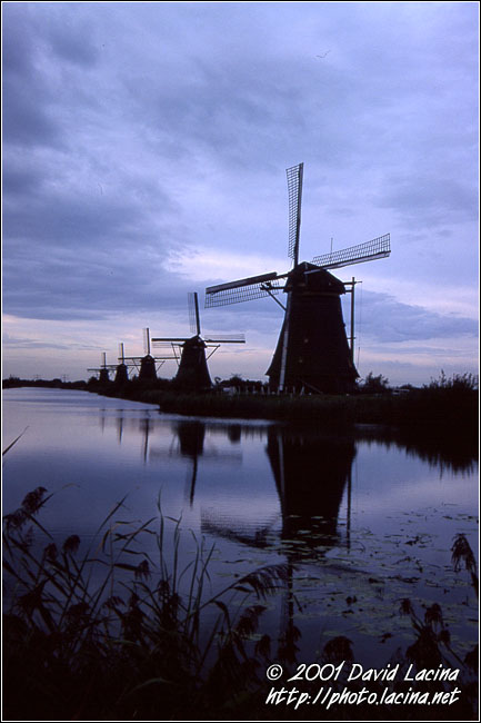 Windmills In Kinderdijk - Best Of Netherlands, Netherlands
