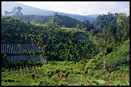 Kerinci Countryside, Kerinci, Indonesia