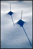 Brothers, Best of 2004, Norway