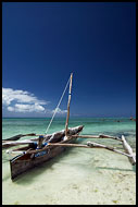 Adventure Ahead, Northern Zanzibar, Tanzania