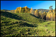 Hills In Lågen Valley, Best of 2004, Norway