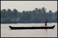 Morning Life On Backwaters, Backwaters, India
