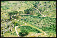 Rural Path, Sicily, Italy