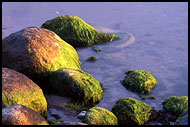 Stones At østerøya, Best of 2002, Norway