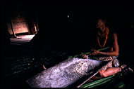 Preparing Sago Bread, Siberut island, Indonesia