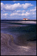 Jomfruland Coastline, Best of 2003, Norway