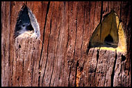 Colour Of Home - Bee-hive Entrances, Rožnov pod Radhošťem, Czech republic