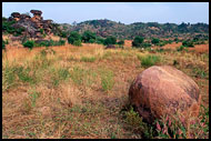 Stone In Talensi Bush, Talensi land, Ghana