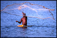 Fisherman At Action, Brenu beach, Ghana