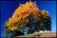 Beautiful Autumn, Best of 2003, Norway