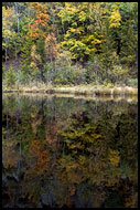 Swamp In The Autumn, Best of 2004, Norway