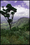 Usambara Landscape, Colorized Tanzania, Tanzania