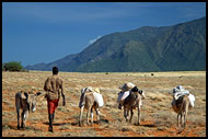 Samburu Land, Samburu Portraits, Kenya