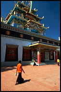 Life In Namdroling Monastery, Golden Temple, Namdroling Monastery, India