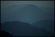 Morning Mist Over Coorg Jungle, Kodagu (Coorg) Hills, India