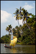 Backwaters And A Typical Boat, Backwaters, India