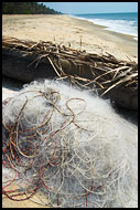Fishing Net At Cherai Beach, Cochin (Kochi), India