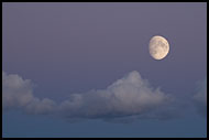 Clouds And Moon, Best of 2006, Norway