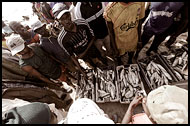 Selling Fish, Casamance, Senegal