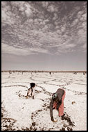 Harvesting Salt, Salt Harvesting, Senegal