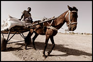 Transporting Salt, Salt Harvesting, Senegal