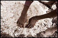 Harvesting Salt, Salt Harvesting, Senegal