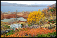 Autumn By Vavatn, Autumn In Hemsedal, Norway