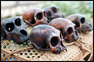 Monkey Skulls, Nagaland, India