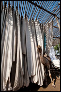 Drying Clothes, Jaipur fabric factory, India