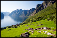 Aurlandsfjord Landscape, Nærøyfjord World Heritage Area, Norway