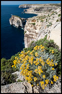 Gozo Cliffs, Gozo, Malta