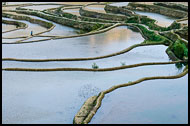 Walking Through Rice Fields, Yuanyang, China