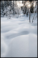 Winter Landscape, Best Of 2012, Norway