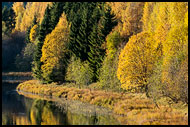 Autumn Colours, Best Of 2013, Norway